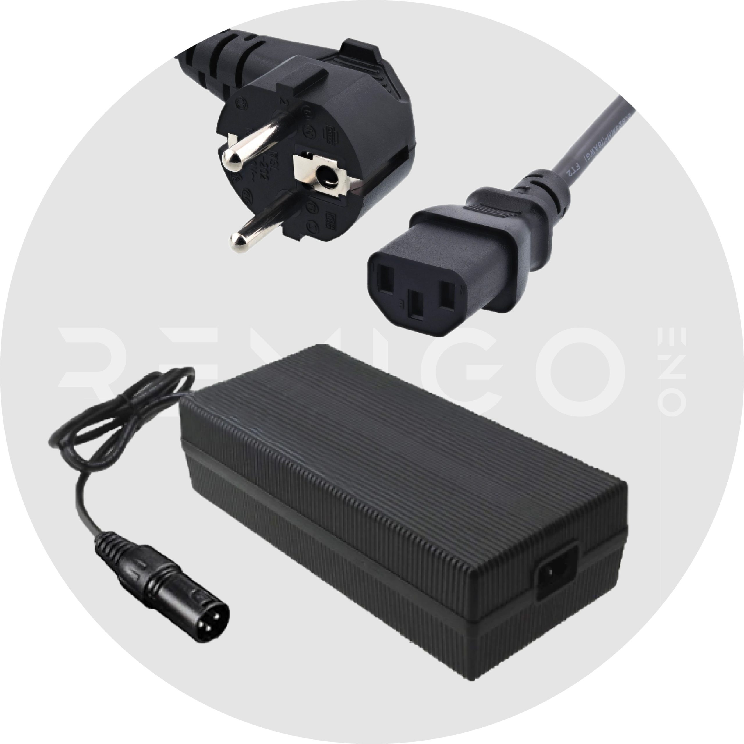 a fast AC charger for remigoone electric outboard on a gray branded background